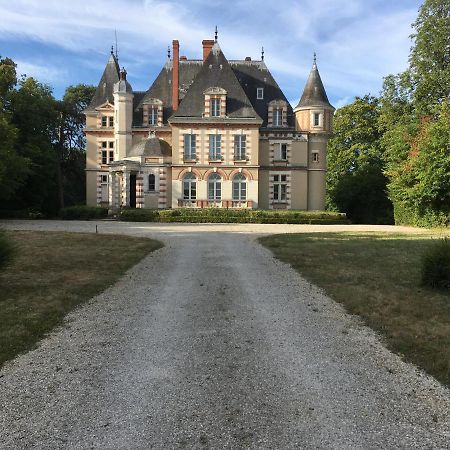 Chateau De Praslins Nogent-sur-Vernisson エクステリア 写真