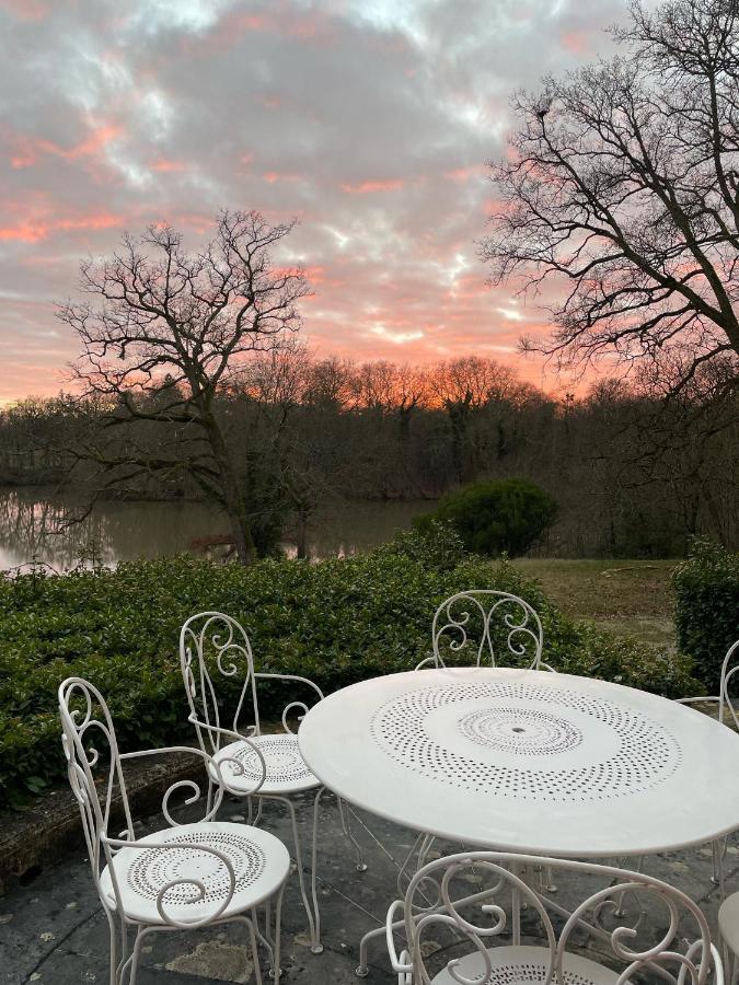 Chateau De Praslins Nogent-sur-Vernisson エクステリア 写真