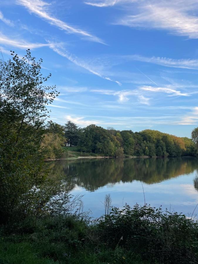 Chateau De Praslins Nogent-sur-Vernisson エクステリア 写真