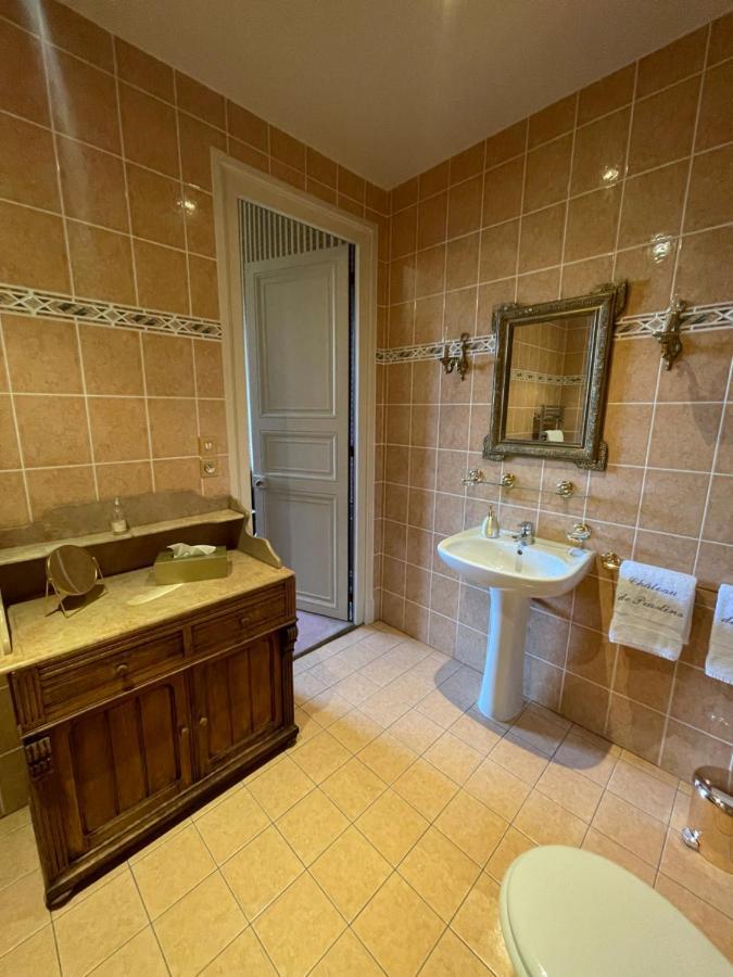 Chateau De Praslins Nogent-sur-Vernisson エクステリア 写真