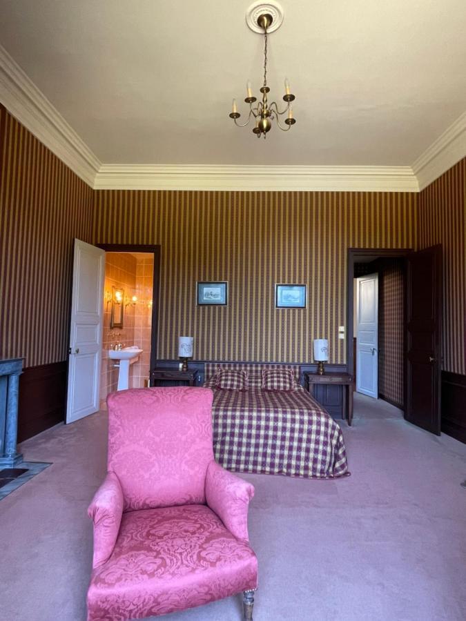Chateau De Praslins Nogent-sur-Vernisson エクステリア 写真