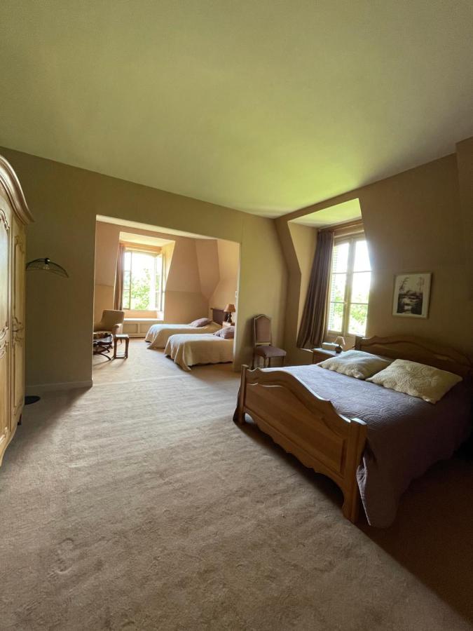 Chateau De Praslins Nogent-sur-Vernisson エクステリア 写真