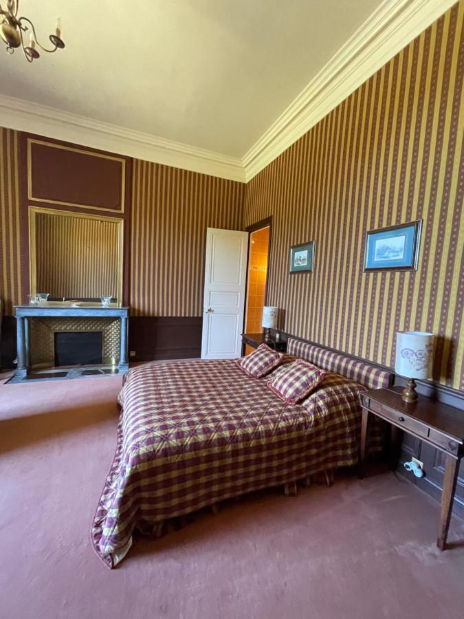 Chateau De Praslins Nogent-sur-Vernisson エクステリア 写真