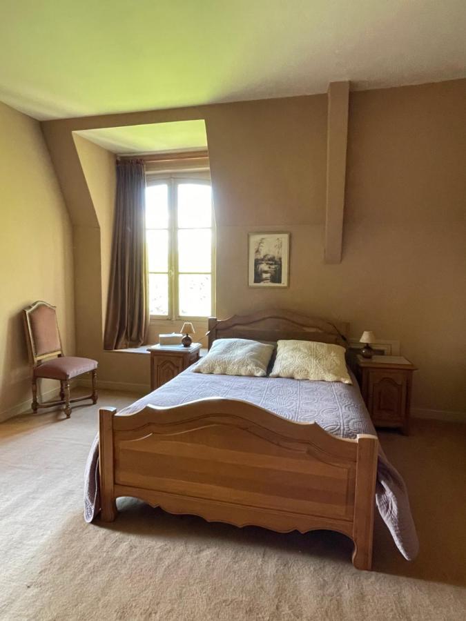 Chateau De Praslins Nogent-sur-Vernisson エクステリア 写真