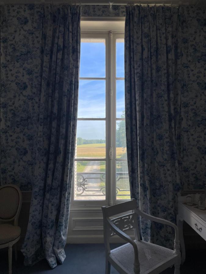 Chateau De Praslins Nogent-sur-Vernisson エクステリア 写真